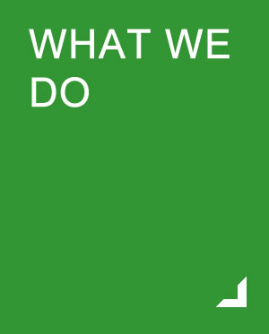 what-we-do_s2